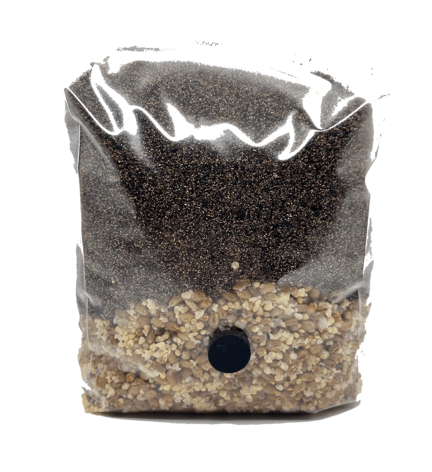 4 lb 3-Grain All-In-One Mushroom Grow Bag - Shroomability