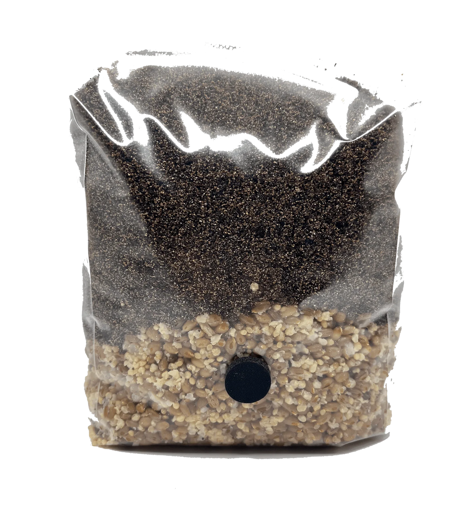 4 lb 3-Grain All-In-One Mushroom Grow Bag - Shroomability
