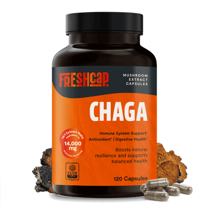 Chaga Mushroom Extract Capsules