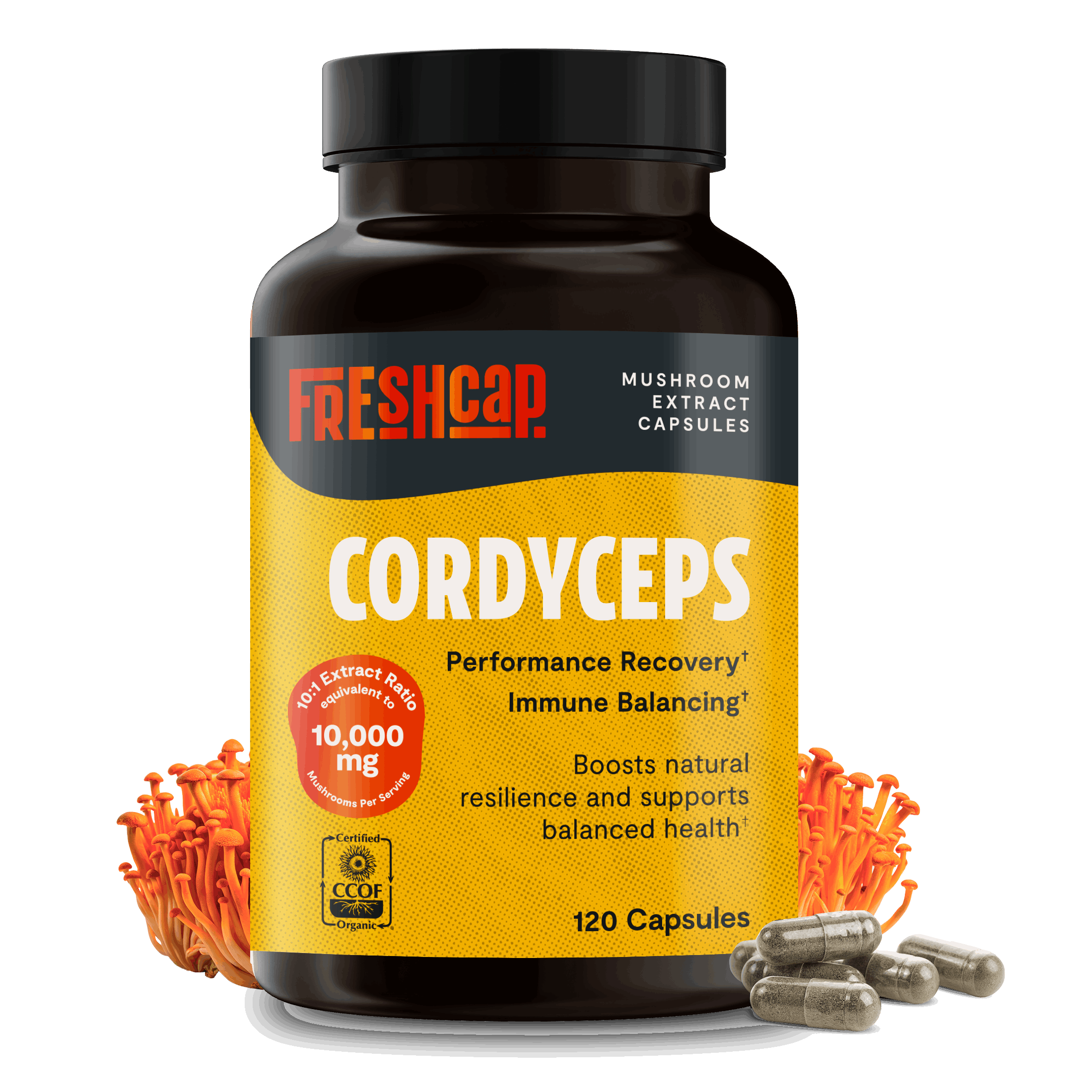 Cordyceps Mushroom Extract Capsules