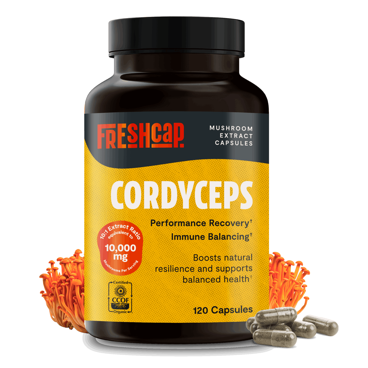 Cordyceps Mushroom Extract Capsules