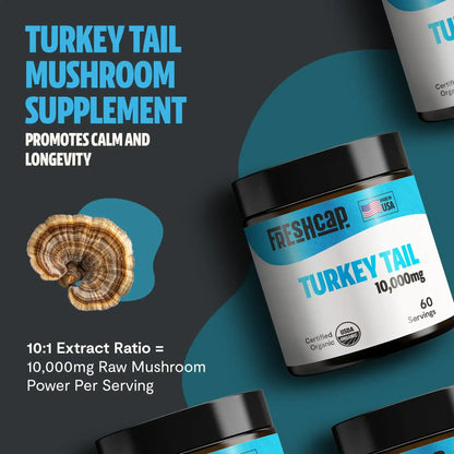 Turkey Tail Mushroom Extract Powder - Shroomability