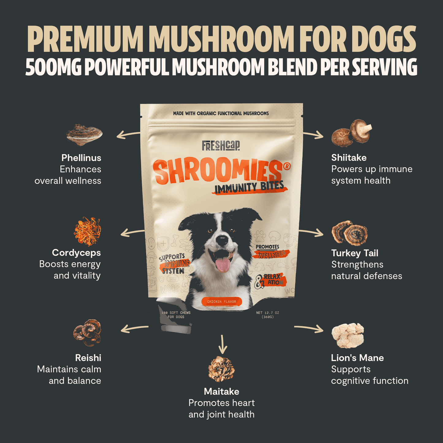 Shroomies® - Mushrooms For Dogs