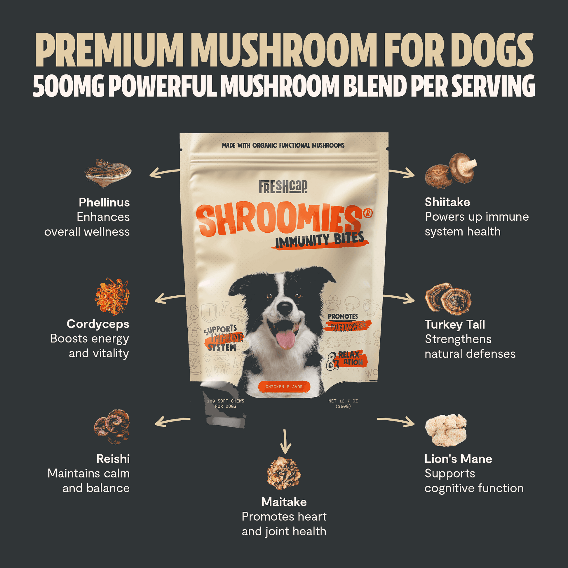 Shroomies® - Mushrooms For Dogs