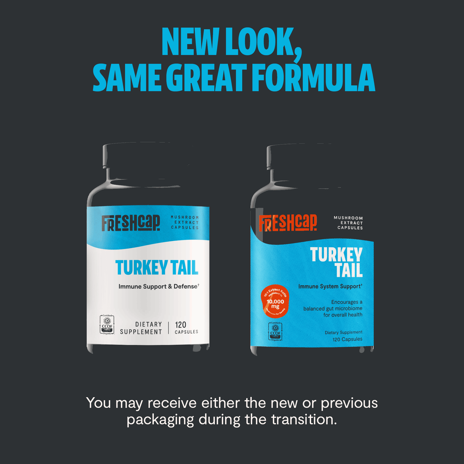 Turkey Tail Mushroom Extract Capsules