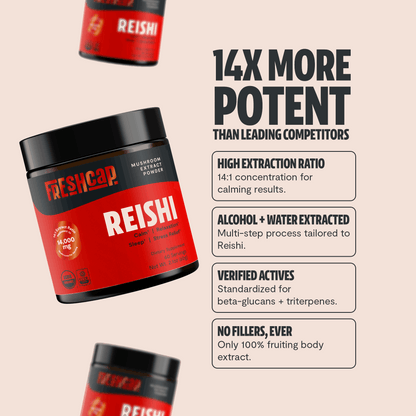 Reishi Mushroom Extract Powder