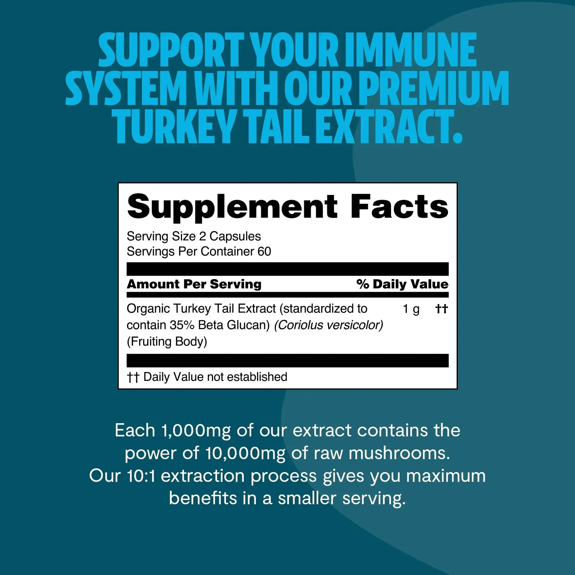 Turkey Tail Mushroom Extract Capsules - Shroomability