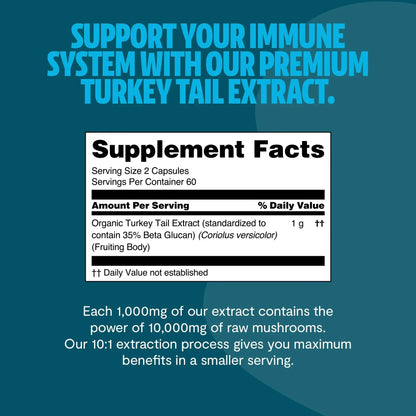 Turkey Tail Mushroom Extract Capsules - Shroomability
