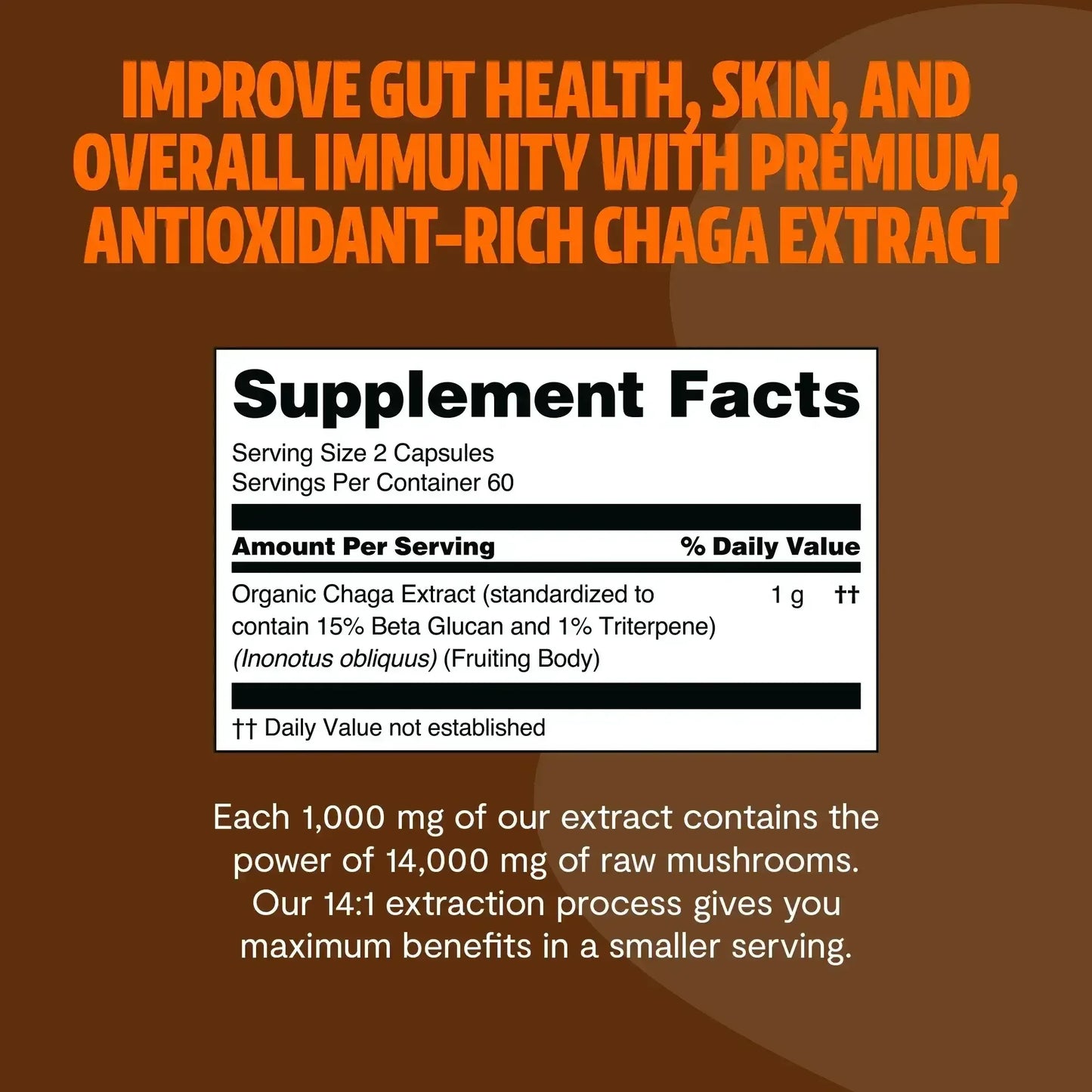 Chaga Mushroom Extract Capsules - Shroomability