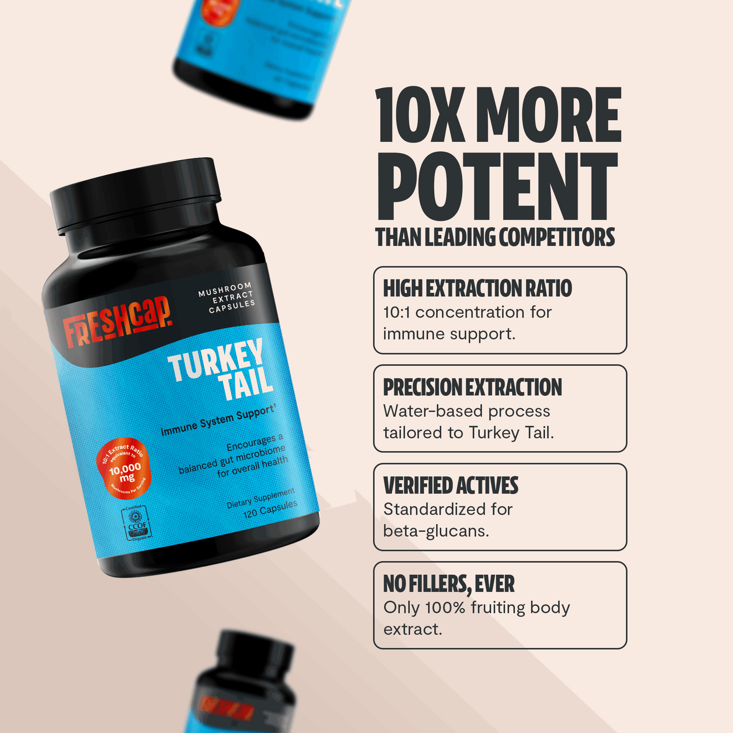 Turkey Tail Mushroom Extract Capsules