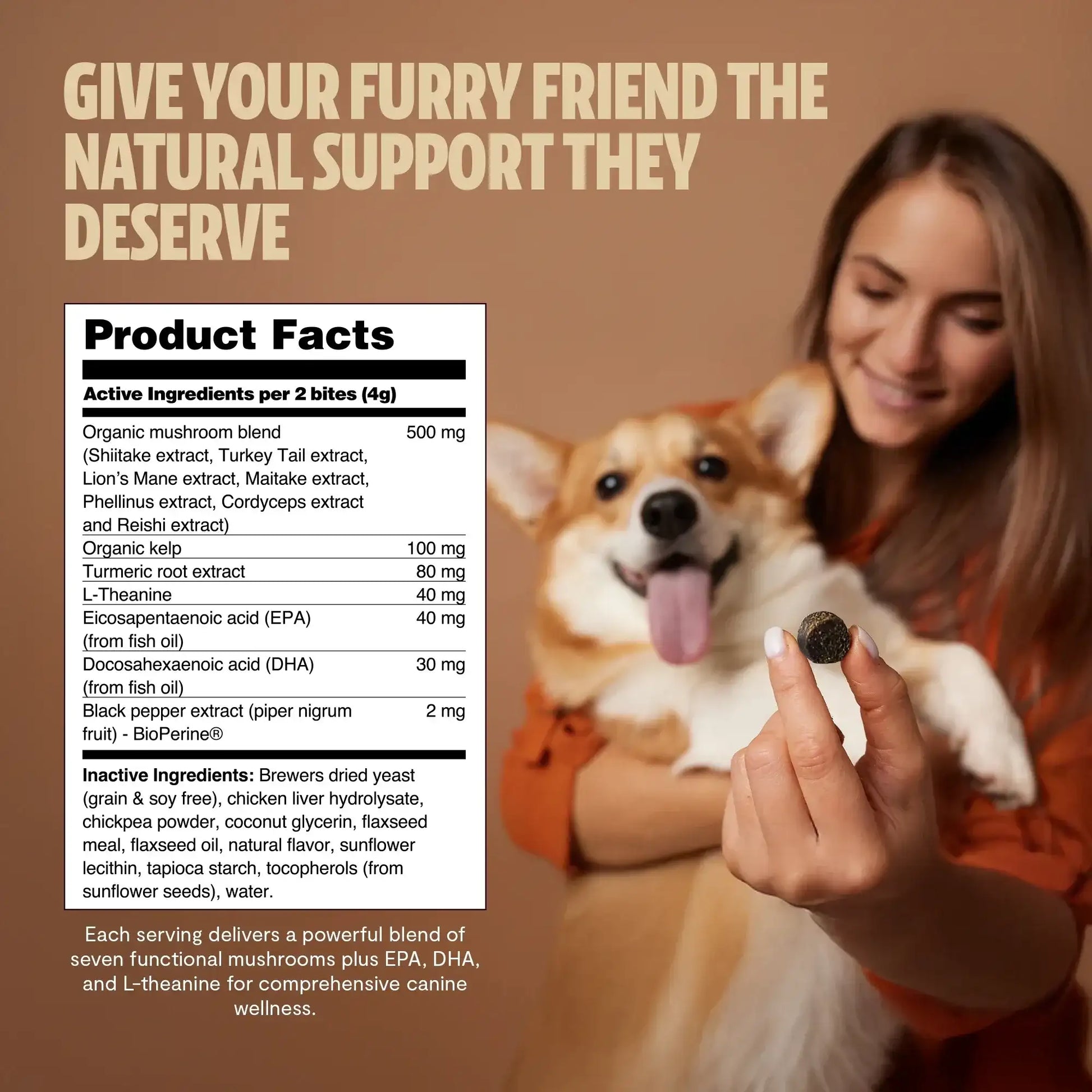 Shroomies® - Mushrooms For Dogs - Shroomability