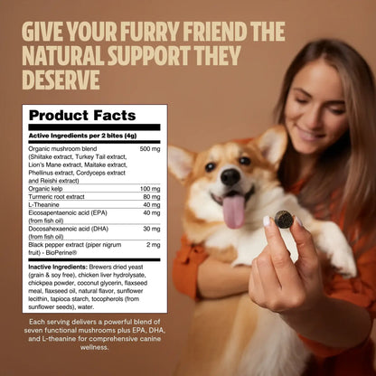 Shroomies® - Mushrooms For Dogs - Shroomability