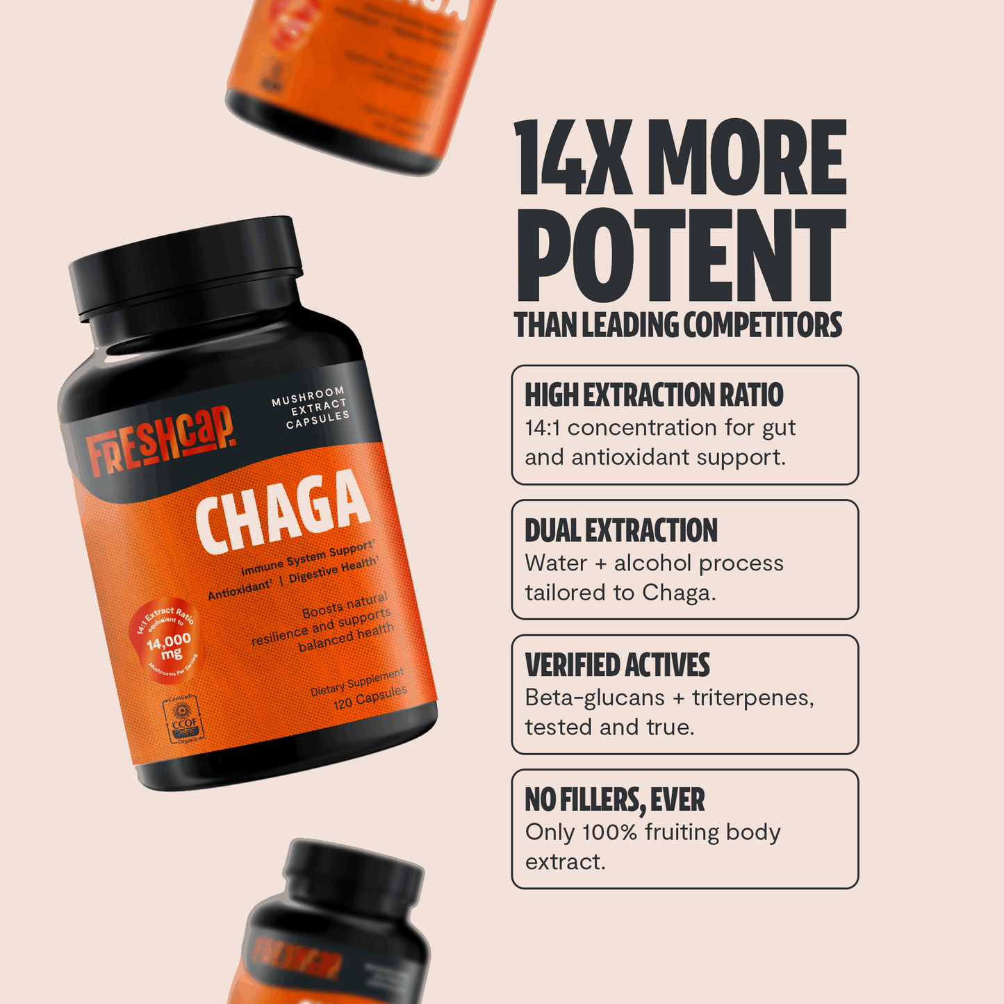 Chaga Mushroom Extract Capsules
