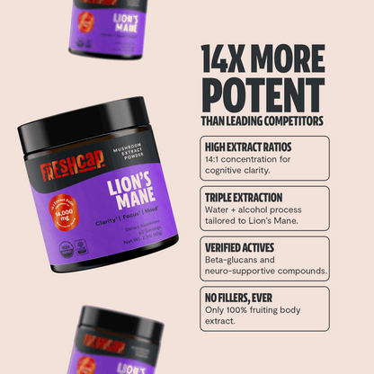 Lion's Mane Mushroom Extract Powder