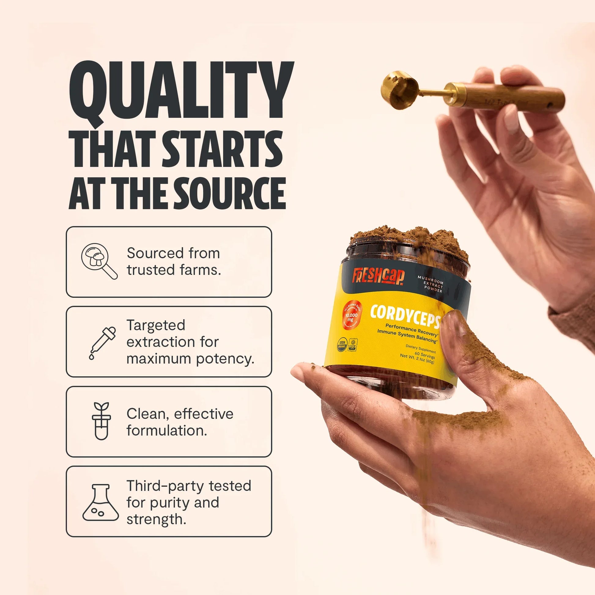 Cordyceps Mushroom Extract Powder - Shroomability