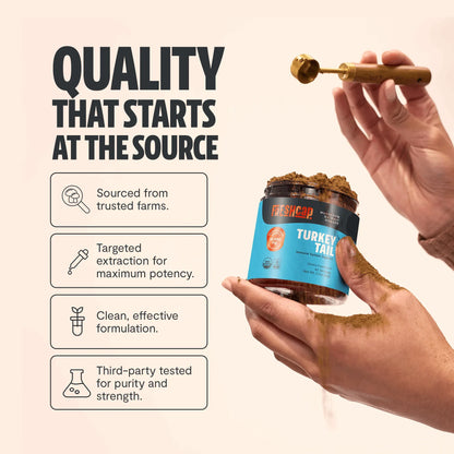 Turkey Tail Mushroom Extract Powder - Shroomability