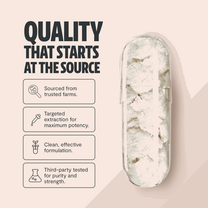 Lion's Mane Mushroom Extract Capsules