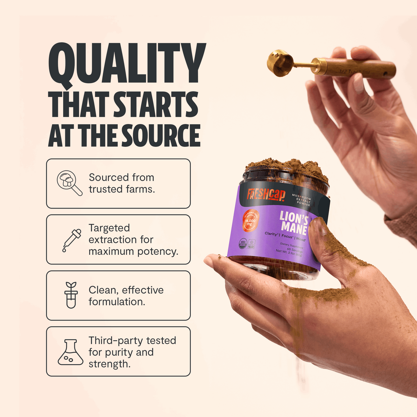 Lion's Mane Mushroom Extract Powder