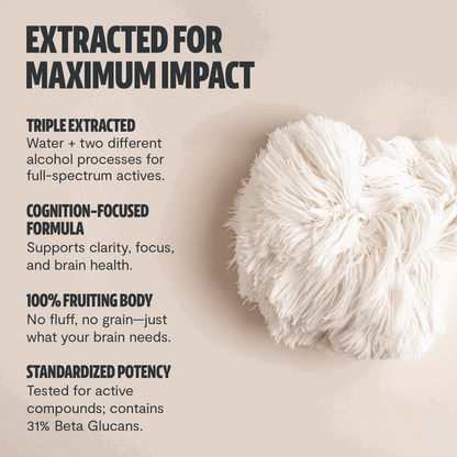 Lion's Mane Mushroom Extract Capsules