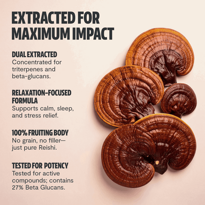 Reishi Mushroom Extract Powder