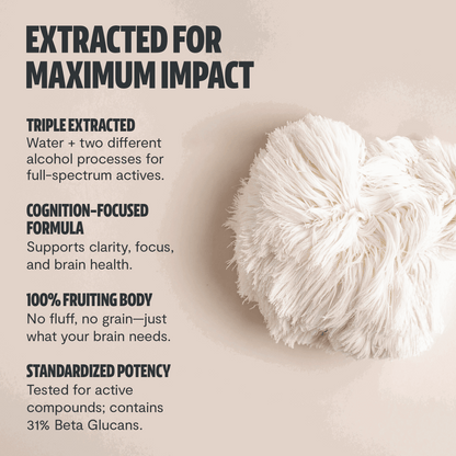 Lion's Mane Mushroom Extract Capsules