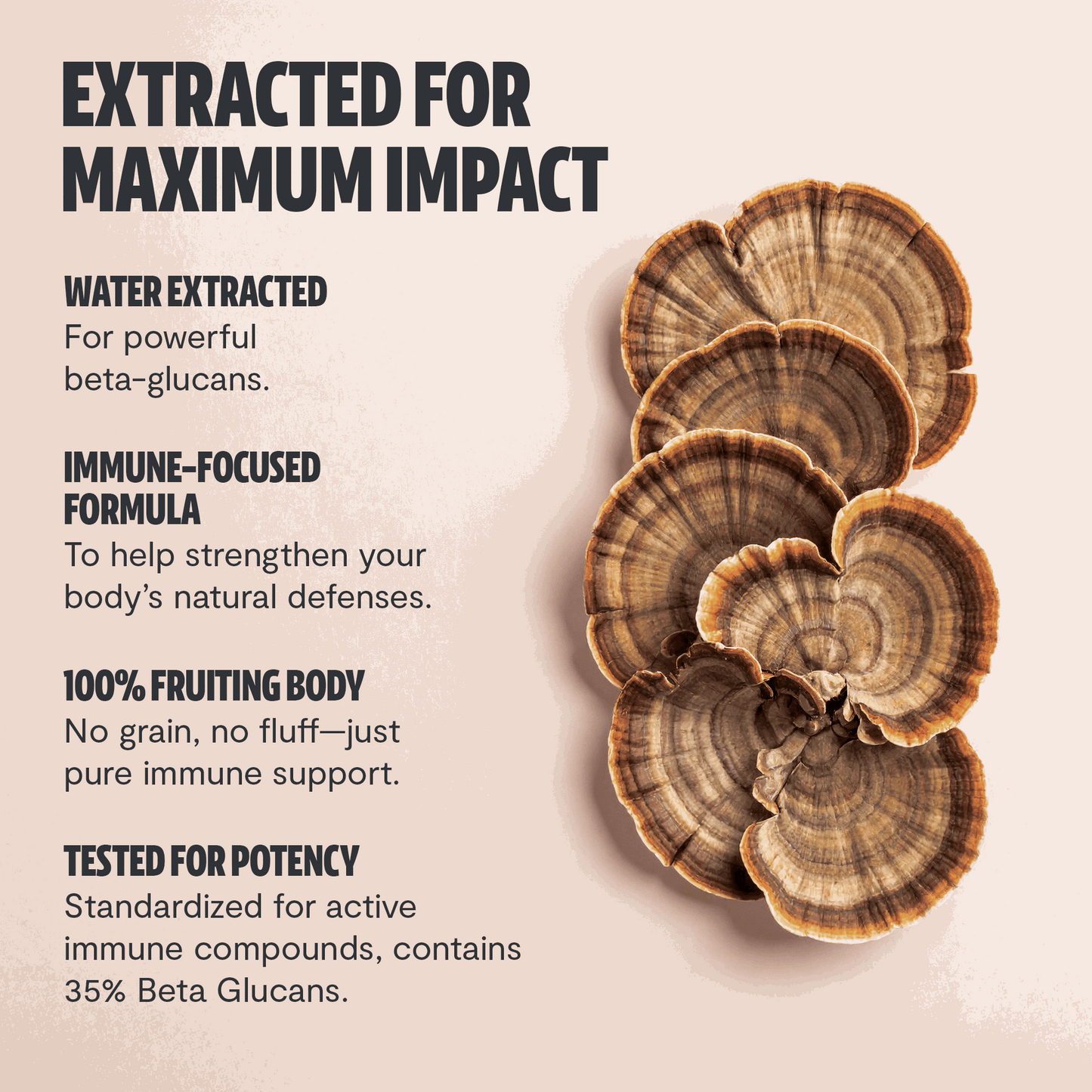 Turkey Tail Mushroom Extract Capsules