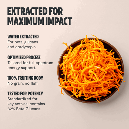 Cordyceps Mushroom Extract Capsules