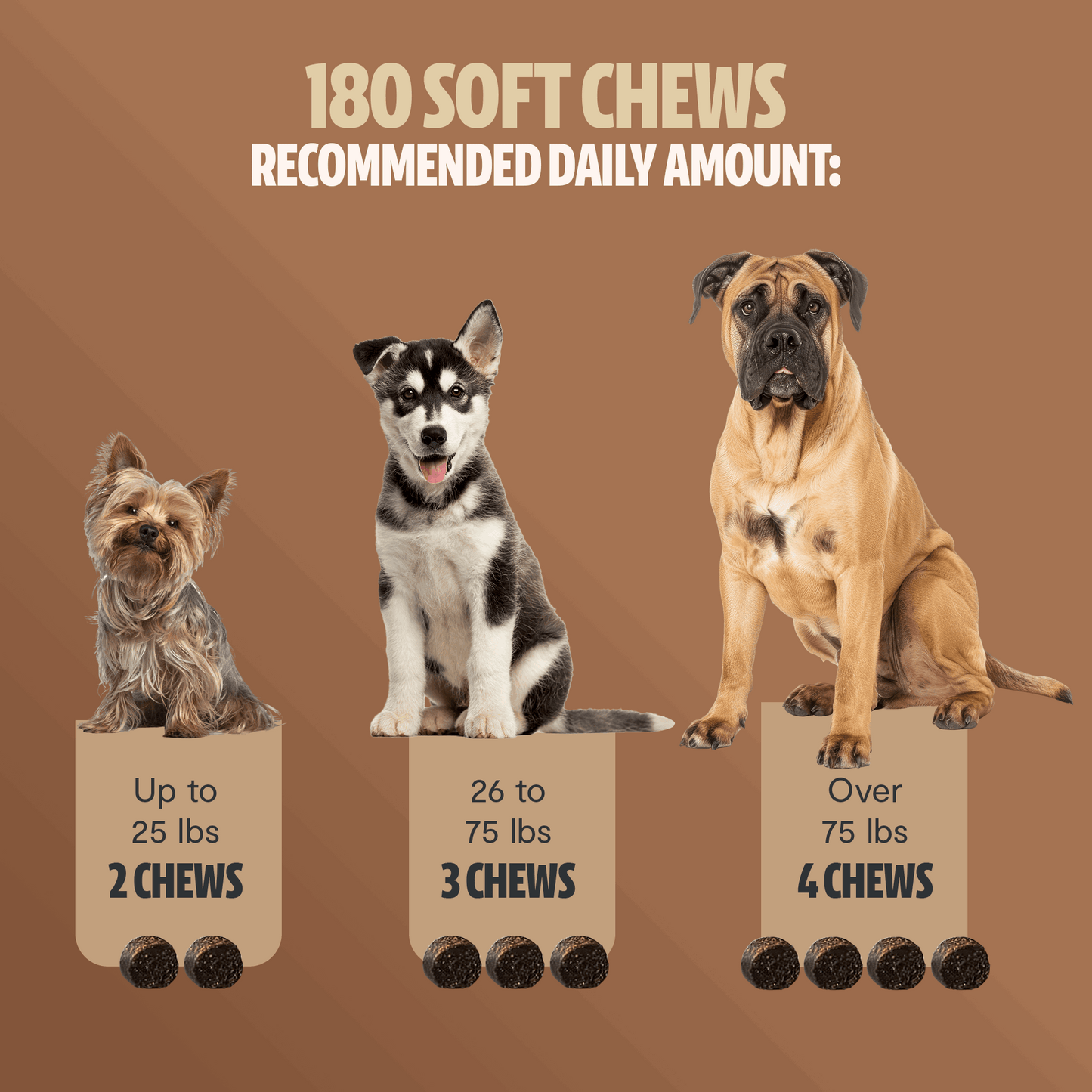 Shroomies® - Mushrooms For Dogs