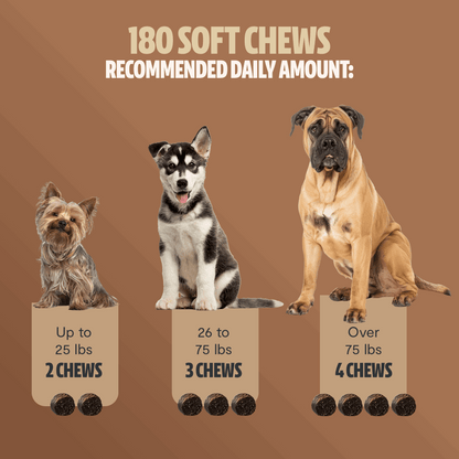 Shroomies® - Mushrooms For Dogs