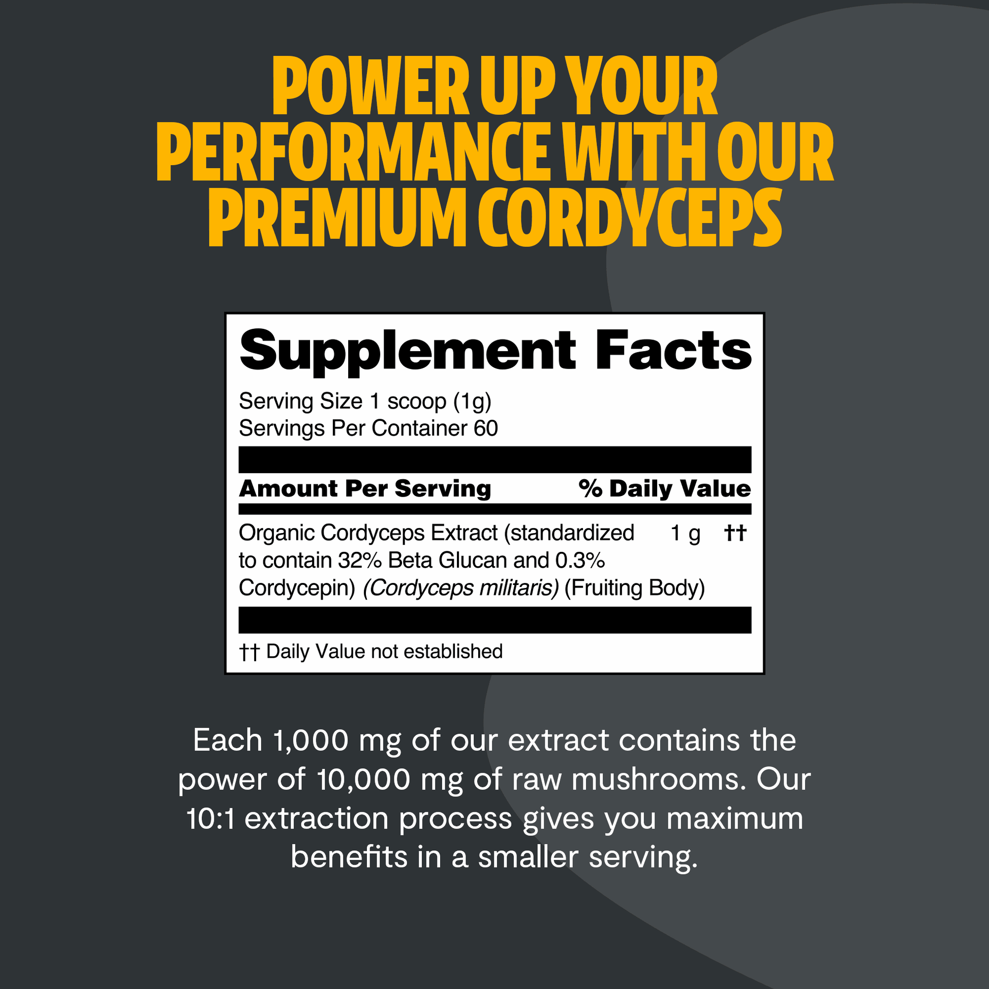 Cordyceps Mushroom Extract Powder - Shroomability
