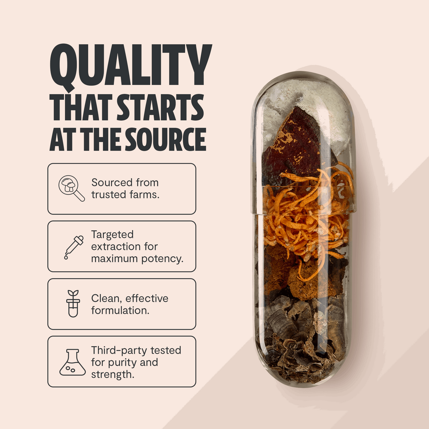 Ultimate Mushroom Complex Capsules