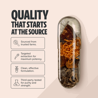 Ultimate Mushroom Complex Capsules