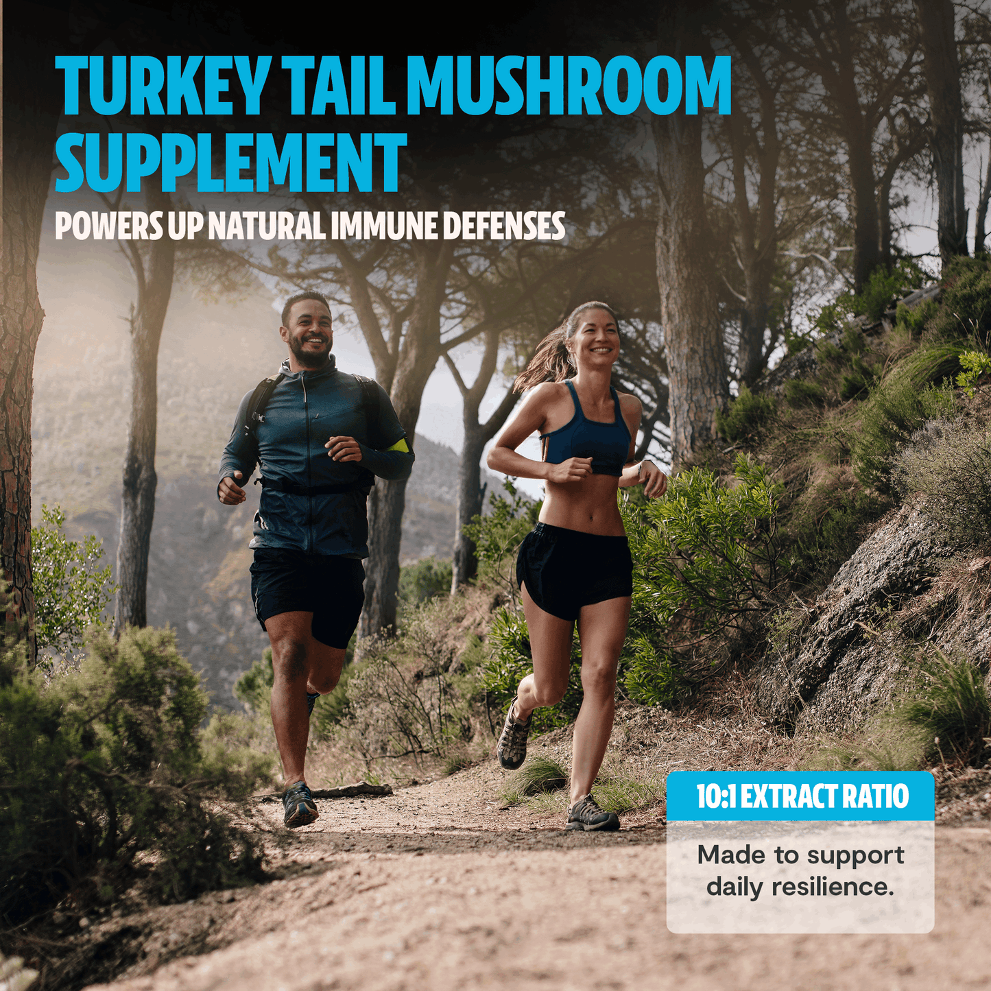 Turkey Tail Mushroom Extract Capsules