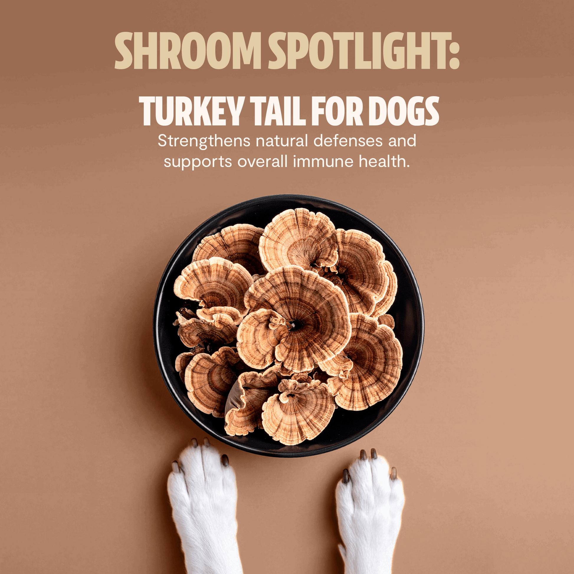 Shroomies® - Mushrooms For Dogs