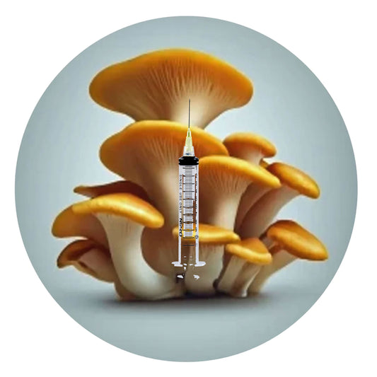 Golden Oyster Mushroom Liquid Culture Syringe