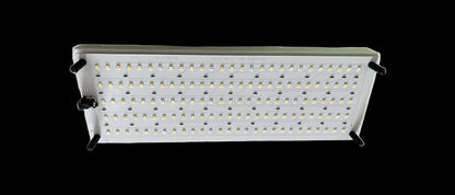 LED mushroom grow light mushroom fruiting chamber