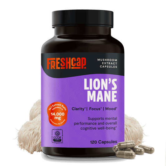 Lion's Mane Mushroom Extract Capsules