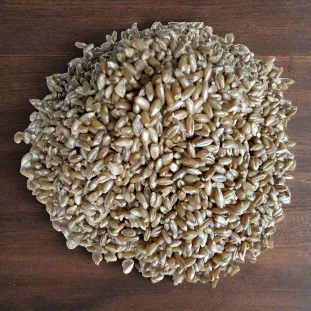 3-lb Rye + Casing Mix CVG All-In-One Bag - Shroomability