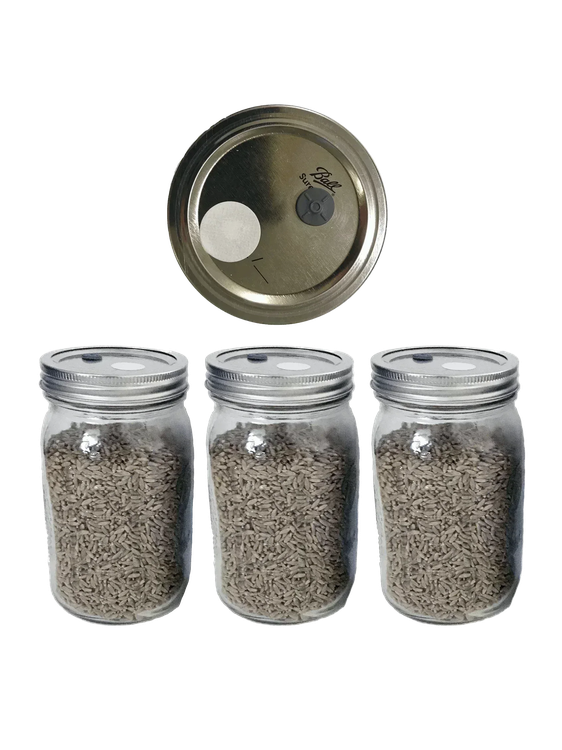 3 Organic Rye Berry Spawn Jars - Shroomability