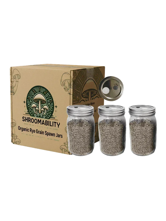 3 Organic Rye Berry Spawn Jars - Shroomability