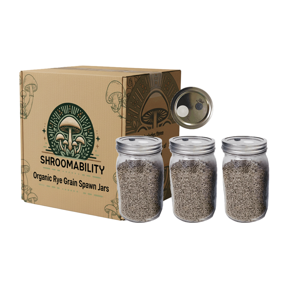 rye berry mushroom spawn jars with injection port and .2 micron filter