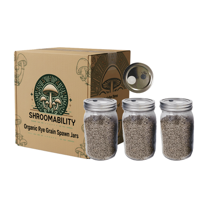 rye berry mushroom spawn jars with injection port and .2 micron filter