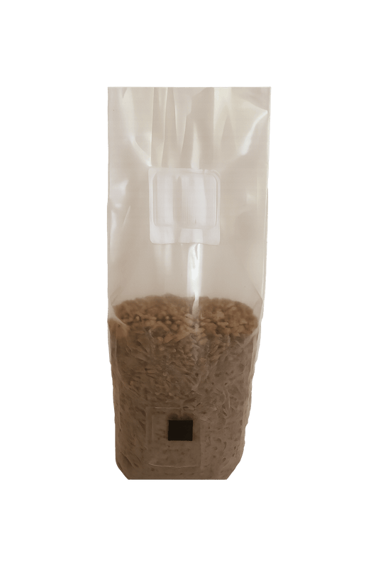 Organic Rye Berry Mushroom Spawn Bag (2 lb)