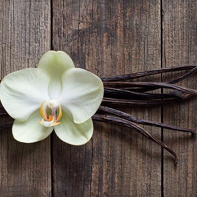 Vanilla Oil - 1/2 fl oz