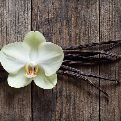 Vanilla Oil - 1/2 fl oz