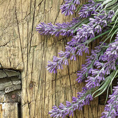 French Lavender Essential Oil - 1/2 fl oz