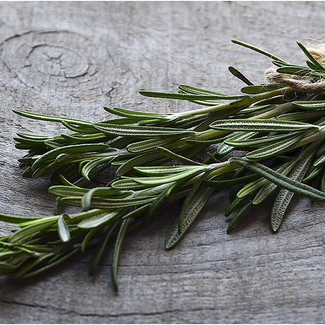 Rosemary Essential Oil - 1/2 fl oz