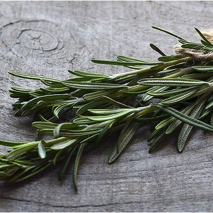 Rosemary Essential Oil - 1/2 fl oz