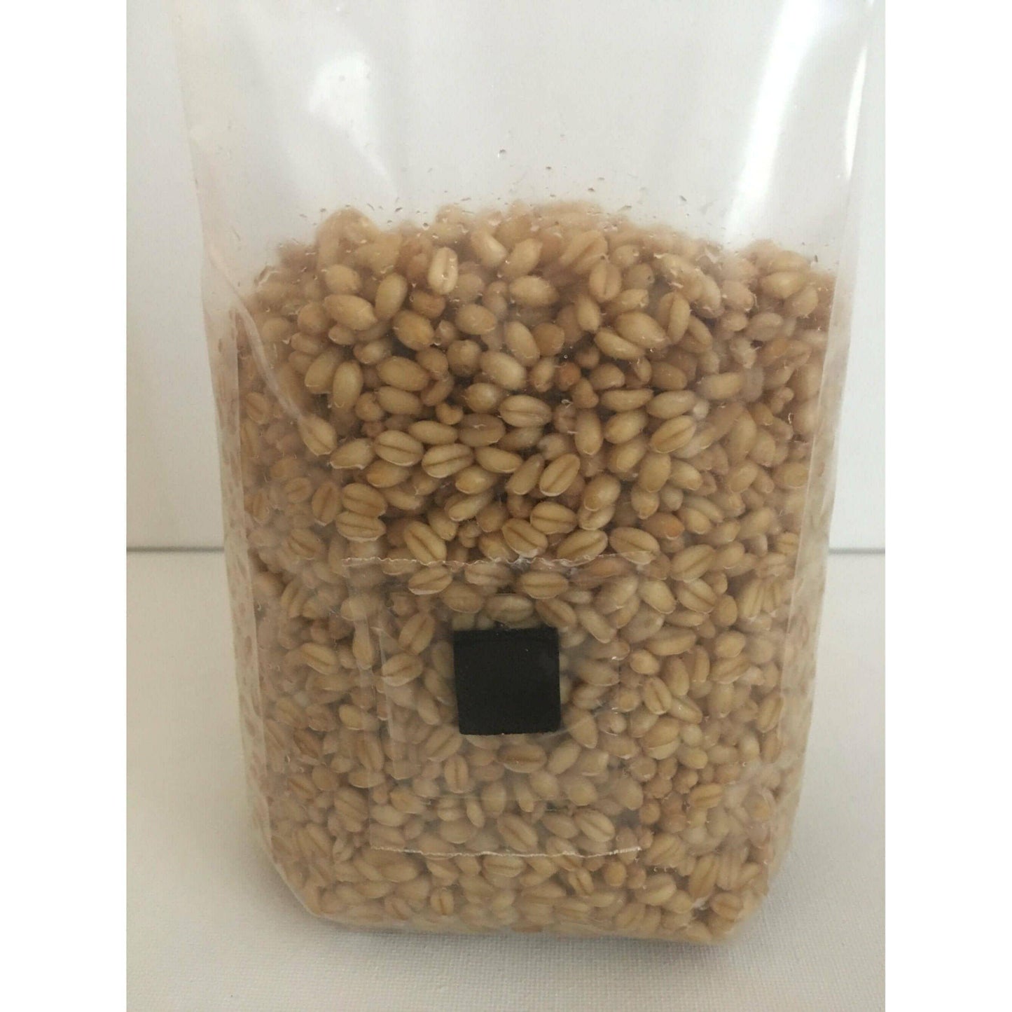 Wheat Berry Spawn Bags with Injection Port & Filter 1