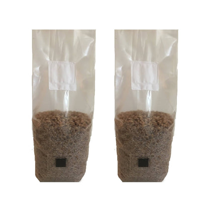 2 x 2 lb Berry Mushroom Substrate Bags